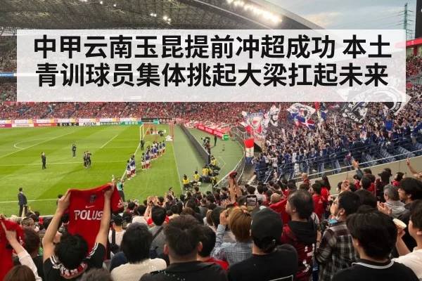 football stadium fans